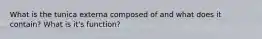 What is the tunica externa composed of and what does it contain? What is it's function?