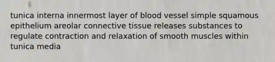 tunica interna innermost layer of blood vessel simple squamous epithelium areolar connective tissue releases substances to regulate contraction and relaxation of smooth muscles within tunica media