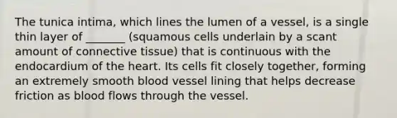 The tunica intima, which lines the lumen of a vessel, is a single thin layer of _______ (squamous cells underlain by a scant amount of connective tissue) that is continuous with the endocardium of the heart. Its cells fit closely together, forming an extremely smooth blood vessel lining that helps decrease friction as blood flows through the vessel.