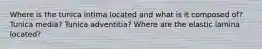 Where is the tunica intima located and what is it composed of? Tunica media? Tunica adventitia? Where are the elastic lamina located?