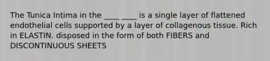 The Tunica Intima in the ____ ____ is a single layer of flattened endothelial cells supported by a layer of collagenous tissue. Rich in ELASTIN. disposed in the form of both FIBERS and DISCONTINUOUS SHEETS