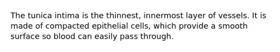 The tunica intima is the thinnest, innermost layer of vessels. It is made of compacted epithelial cells, which provide a smooth surface so blood can easily pass through.