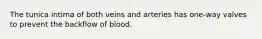 The tunica intima of both veins and arteries has one-way valves to prevent the backflow of blood.