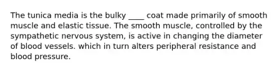 The tunica media is the bulky ____ coat made primarily of smooth muscle and elastic tissue. The smooth muscle, controlled by the sympathetic nervous system, is active in changing the diameter of blood vessels. which in turn alters peripheral resistance and blood pressure.