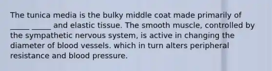 The tunica media is the bulky middle coat made primarily of _____ _____ and elastic tissue. The smooth muscle, controlled by the sympathetic nervous system, is active in changing the diameter of blood vessels. which in turn alters peripheral resistance and blood pressure.