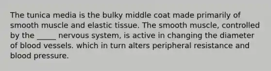 The tunica media is the bulky middle coat made primarily of smooth muscle and elastic tissue. The smooth muscle, controlled by the _____ nervous system, is active in changing the diameter of blood vessels. which in turn alters peripheral resistance and blood pressure.