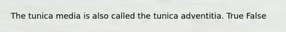 The tunica media is also called the tunica adventitia. True False