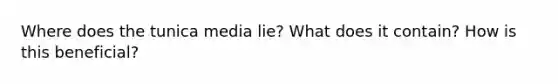 Where does the tunica media lie? What does it contain? How is this beneficial?