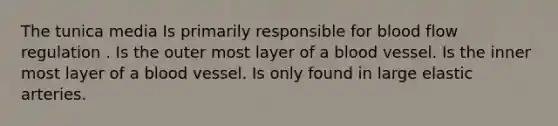 The tunica media Is primarily responsible for blood flow regulation . Is the outer most layer of a blood vessel. Is the inner most layer of a blood vessel. Is only found in large elastic arteries.