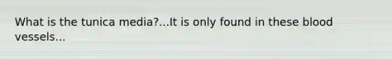 What is the tunica media?...It is only found in these blood vessels...