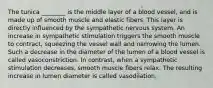 The tunica ________ is the middle layer of a blood vessel, and is made up of smooth muscle and elastic fibers. This layer is directly influenced by the sympathetic nervous system. An increase in sympathetic stimulation triggers the smooth muscle to contract, squeezing the vessel wall and narrowing the lumen. Such a decrease in the diameter of the lumen of a blood vessel is called vasoconstriction. In contrast, when a sympathetic stimulation decreases, smooth muscle fibers relax. The resulting increase in lumen diameter is called vasodilation.