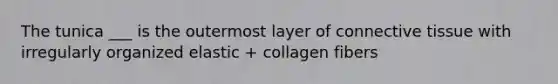 The tunica ___ is the outermost layer of connective tissue with irregularly organized elastic + collagen fibers