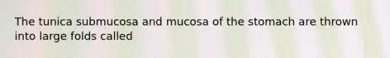 The tunica submucosa and mucosa of the stomach are thrown into large folds called