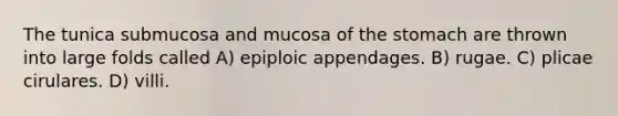 The tunica submucosa and mucosa of the stomach are thrown into large folds called A) epiploic appendages. B) rugae. C) plicae cirulares. D) villi.