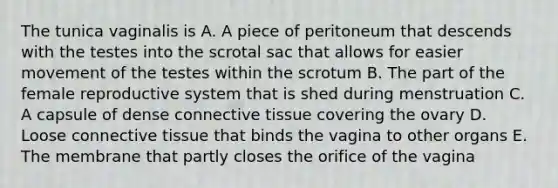 The tunica vaginalis is A. A piece of peritoneum that descends with the testes into the scrotal sac that allows for easier movement of the testes within the scrotum B. The part of the female reproductive system that is shed during menstruation C. A capsule of dense connective tissue covering the ovary D. Loose connective tissue that binds the vagina to other organs E. The membrane that partly closes the orifice of the vagina