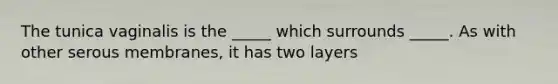 The tunica vaginalis is the _____ which surrounds _____. As with other serous membranes, it has two layers