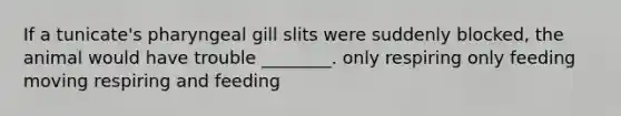 If a tunicate's pharyngeal gill slits were suddenly blocked, the animal would have trouble ________. only respiring only feeding moving respiring and feeding