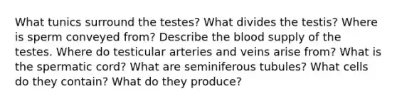 What tunics surround the testes? What divides the testis? Where is sperm conveyed from? Describe the blood supply of the testes. Where do testicular arteries and veins arise from? What is the spermatic cord? What are seminiferous tubules? What cells do they contain? What do they produce?