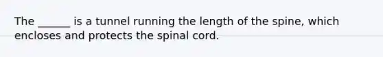 The ______ is a tunnel running the length of the spine, which encloses and protects the spinal cord.