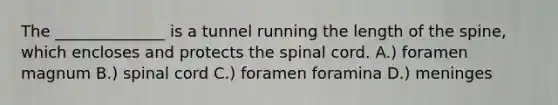 The ______________ is a tunnel running the length of the spine, which encloses and protects the spinal cord. A.) foramen magnum B.) spinal cord C.) foramen foramina D.) meninges