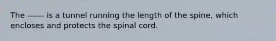 The ------ is a tunnel running the length of the spine, which encloses and protects the spinal cord.