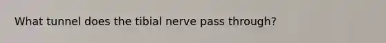 What tunnel does the tibial nerve pass through?