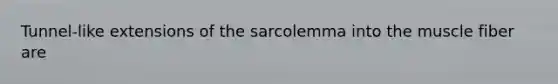 Tunnel-like extensions of the sarcolemma into the muscle fiber are