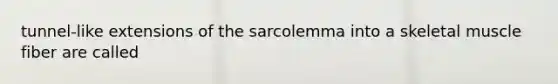 tunnel-like extensions of the sarcolemma into a skeletal muscle fiber are called