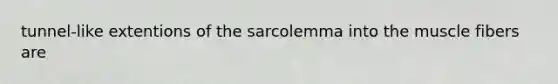 tunnel-like extentions of the sarcolemma into the muscle fibers are