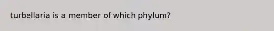 turbellaria is a member of which phylum?