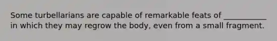 Some turbellarians are capable of remarkable feats of ___________ in which they may regrow the body, even from a small fragment.