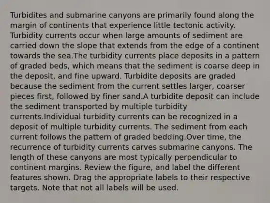 Turbidites and submarine canyons are primarily found along the margin of continents that experience little tectonic activity. Turbidity currents occur when large amounts of sediment are carried down the slope that extends from the edge of a continent towards the sea.The turbidity currents place deposits in a pattern of graded beds, which means that the sediment is coarse deep in the deposit, and fine upward. Turbidite deposits are graded because the sediment from the current settles larger, coarser pieces first, followed by finer sand.A turbidite deposit can include the sediment transported by multiple turbidity currents.Individual turbidity currents can be recognized in a deposit of multiple turbidity currents. The sediment from each current follows the pattern of graded bedding.Over time, the recurrence of turbidity currents carves submarine canyons. The length of these canyons are most typically perpendicular to continent margins. Review the figure, and label the different features shown. Drag the appropriate labels to their respective targets. Note that not all labels will be used.