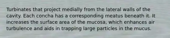 Turbinates that project medially from the lateral walls of the cavity. Each concha has a corresponding meatus beneath it. It increases the surface area of the mucosa, which enhances air turbulence and aids in trapping large particles in the mucus.