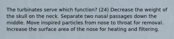 The turbinates serve which function? (24) Decrease the weight of the skull on the neck. Separate two nasal passages down the middle. Move inspired particles from nose to throat for removal. Increase the surface area of the nose for heating and filtering.