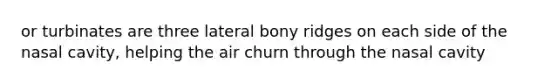 or turbinates are three lateral bony ridges on each side of the nasal cavity, helping the air churn through the nasal cavity