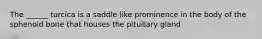 The ______ turcica is a saddle like prominence in the body of the sphenoid bone that houses the pituitary gland