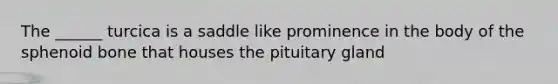 The ______ turcica is a saddle like prominence in the body of the sphenoid bone that houses the pituitary gland