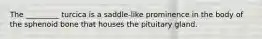 The _________ turcica is a saddle-like prominence in the body of the sphenoid bone that houses the pituitary gland.