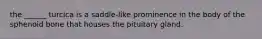 the ______ turcica is a saddle-like prominence in the body of the sphenoid bone that houses the pituitary gland.