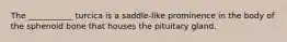 The ___________ turcica is a saddle-like prominence in the body of the sphenoid bone that houses the pituitary gland.