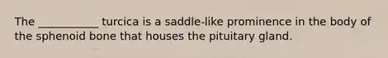 The ___________ turcica is a saddle-like prominence in the body of the sphenoid bone that houses the pituitary gland.