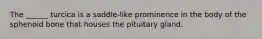 The ______ turcica is a saddle-like prominence in the body of the sphenoid bone that houses the pituitary gland.