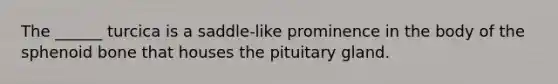 The ______ turcica is a saddle-like prominence in the body of the sphenoid bone that houses the pituitary gland.