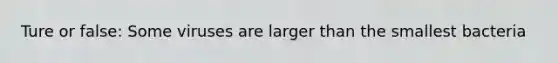 Ture or false: Some viruses are larger than the smallest bacteria