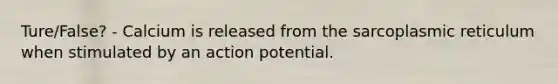 Ture/False? - Calcium is released from the sarcoplasmic reticulum when stimulated by an action potential.