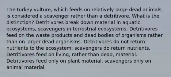 The turkey vulture, which feeds on relatively large dead animals, is considered a scavenger rather than a detritivore. What is the distinction? Detritivores break down material in aquatic ecosystems, scavengers in terrestrial ecosystems. Detritivores feed on the waste products and dead bodies of organisms rather than on larger dead organisms. Detritivores do not return nutrients to the ecosystem; scavengers do return nutrients. Detritivores feed on living, rather than dead, material. Detritivores feed only on plant material, scavengers only on animal material.