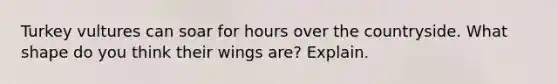 Turkey vultures can soar for hours over the countryside. What shape do you think their wings are? Explain.