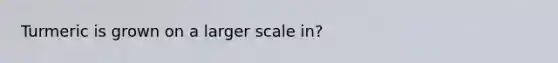 Turmeric is grown on a larger scale in?