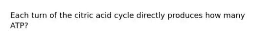 Each turn of the citric acid cycle directly produces how many ATP?