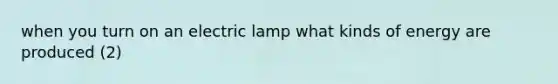 when you turn on an electric lamp what kinds of energy are produced (2)